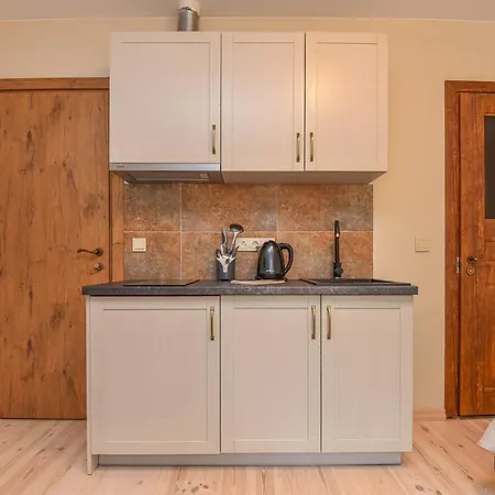 아파트 Kubu Loft 클라이페다