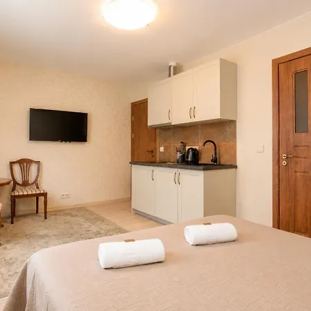 Apartment Kubu Loft *
